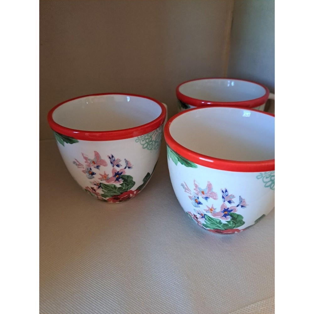 Pioner Woman Red Rim Cups - Picture 7 of 7